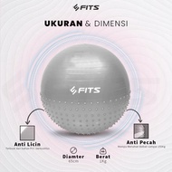Sfidn Fits Gymnastic Pilates Yoga Ball Massage Point 65 Cm Gym Ball