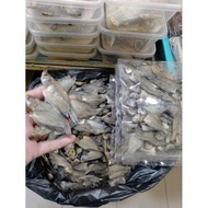 IKAN SEPAT RONGGENG 500gm