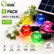 5pcs G40 RGB LED Bulb 24V E12 Base Dimmable Globe Bulbs Edison Bulb Replacement For Outdoor Solor St