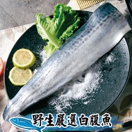 【鮮綠生活】頂級白腹魚菲力魚排300g 共7包