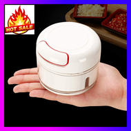 Garlic Chopper Mini Vegetable Fruit Cutter 200ml  - esjay83