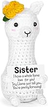 NEVERNERVE Mini Llama Sister Gifts Mothers Day Graduation Gifts for Sister, Soul Sisters Friend Gift