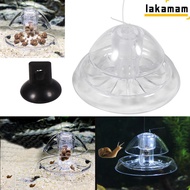 LAKAMAM Snail Trap,  Design Plastic Aquarium Snail Trap, Accessories Fishing Line Transparent Box Fi