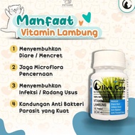 O Care Cat Vitamins: Digestive Problems to Cure Diarrhea, Diarrhea, and Intestinal Inflammation