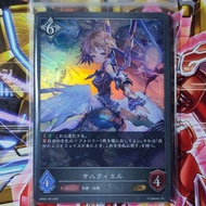 Shadowverse Evolve Card Game Set | Cygames