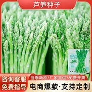 Green Asparagus Seeds Asparagus Seeds Farmland Courtyard Planting Vegetable Seeds Four Seasons Veget