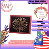 Eu Yan Sang Superior Fallow Ginseng (37.5gm)