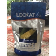 benih jagung manis leckat 592 sugar rich ORIGINAL (500g)