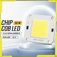 Chip LED Lampu COB Floodlight Spotlight 12V 50W - 4640-4C30B