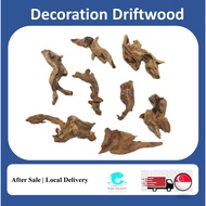 Aquarium terrarium Natural drift wood micro hardscape decoration air plants