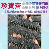 【珍寶齋】全港多間門市 免費上門 全港高價：俄羅斯紅參 花膠，燕窩，鮑魚，海產，魚膠，石肚，紅肚，海參，吉品鮑，大耳，台山花膠，鱉魚膠，元貝，陳皮，南非鮑魚，斗湖膠，安南公，禾麻鮑，燕窩，本港小須，安