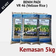 Bibit padi VR46 ( Velloz Rice ) padi unggul kemasan 5kg