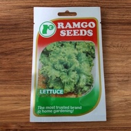 BLACK LETTUCE SEEDS(PACK SIZE)RAMGO SEEDS