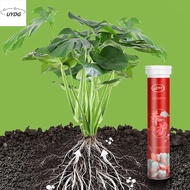 UYDG Phosphorus Organic Fertilizer Potassium Speed Up Slow-Release Tablet Universal Growth Plant Nutrition Tablets Plants Potted