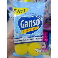 Ganso Toilet Block 6 in 1 – Pembersih Tandas Haruman Segar | Bersih, Wangi & Anti-Kotoran