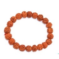 5 face rudraksha bracelet