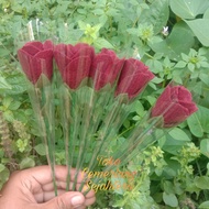 TCS Bunga mawar flanel warna maroon