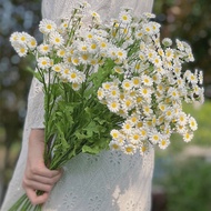 30 Heads Chamomile Artificial Flower Artificial Flower Small Daisy Bouquet Living Room Fake Daisy De