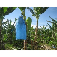 Plastik Sarung Bungkus Pisang 20 x 30 BIRU