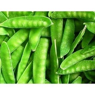20 benih biji kacang polong kacang kapri / ercis