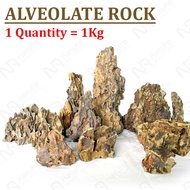 Dragon Stone Rock Ohko Alveolate aquarium fish tank aquascaping aquascape deco (松皮石 虎皮石)