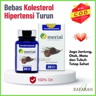 [HEMAT] MERIAL Red Pine Korea Obat Kolesterol Pinus Merah Suplemen
