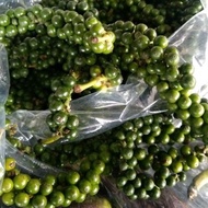 500G LADA HITAM FRESH