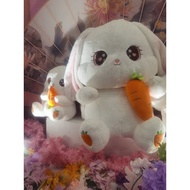 Link Payment RM1 to RM5 For Live Purpose