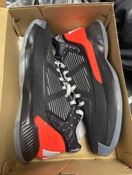 NEW* D rose 10 basketball shoes 全新adidas籃球鞋
