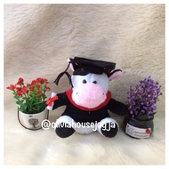 Boneka wisuda sapi boneka wisuda cow boneka wisuda lucu