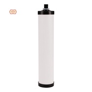 Household Water Purifier Filter Elements 9-Inch T33 Rear Activated Carbon Filter Elements Water Puri