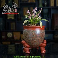 【現貨可開發票】宜興紫砂盆中國風創意室內陽臺建蘭君子蘭墨蘭花盆古典陶瓷多肉盆