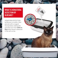 Royal Canin Hematuria Detection  cat x 1 sachet