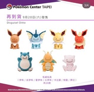 開團🔥台北百變怪 毛公仔 Pokemon Center正版 伊貝 比卡超 卡比獸 耿鬼 快龍