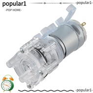 POPULAR Diaphragm Pump, Home Appliances EK1970 Self Priming, Durable R385 DC 6V to 12V Pumping Proje
