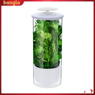 bangla|  High-grade Herb Storage Solution Refrigerator Herb Storage Container Herb Keeper Jar Refrig