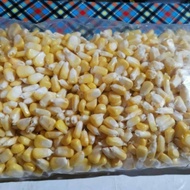 PTR1 JAGUNG MANIS PIPIL JASUKE