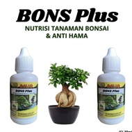 Nutrisi Tanaman Bonsai, Hormon Bonsai Adenium, Pupuk Nutrisi Bonsai