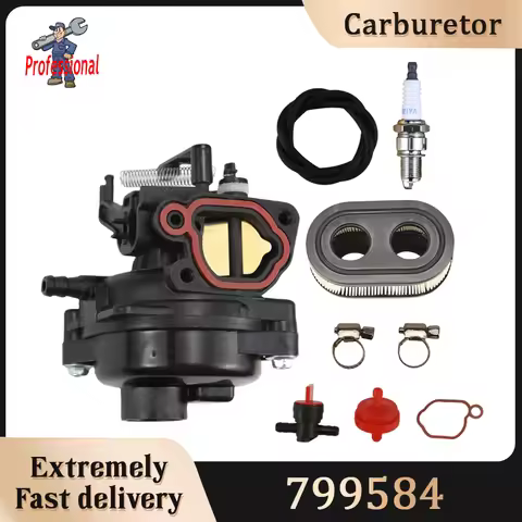 Lawn Mower Engine Carburetors Motor Engines 799584 Carburetor For Briggs-Stratton 09P702 103M02 550E