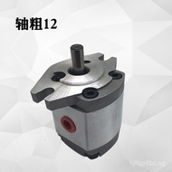Gear Pump Hydraulic Oil Pump HGP-1A-F1R/2R/3R/5R/F6R/F8R RX2B 4B HGP-1A-F4R