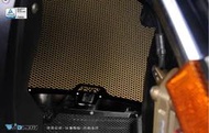 【R.S MOTO】BMW S1000RR 水箱護網 基本款 黑鋁框 德國DIMOTIV DMV