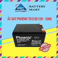 Bình Ắc Quy Khô PHOENIX TS12120 12V-12AH Dùng Cho UPS Loa Kéo Bình Phun Thuốc Sâu Cửa Cuốn