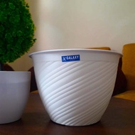 Tulip Pot 30 Cm White/ Wasp Pot 30 Cm White Black/ Bee Pot 30 Cm (Premium Great A) Viral