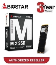 BIOSTAR M700 256GB / 512GB | NVME Solid State Drive (SSD)
