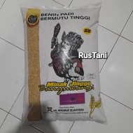 Benih padi MinakJinggo Banyuwangi Varietas CIHERANG Kemasan 10KG