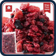 Dried Fruit Mix Tennen Seikatsu Blue 500g Blueberry Assorted Dried Fruit