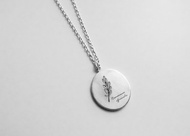 植物圖鑑-迷迭香