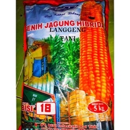 Benih Jagung bisi 18 Hibrida Bisi18 kemasan 5kg