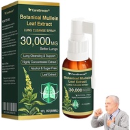 new CareBreezeBotanicalMulleinLeafExtractLungCleanseSpray,MulleinLeafExtractforLungs,PowerfulMullein