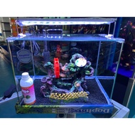 [OFFER] Dophin Mini Aquarium Set - Akuarium Set Comel